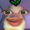 mucttzpiw