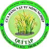 lq.tp5
