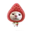 _thuhoai_14