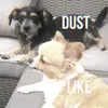 dust_and_like