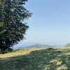 leabh5