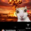 kayqui.natan