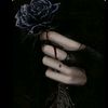 mawar_hitam603