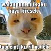 chocho_caramel99