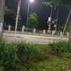 nhat.le431