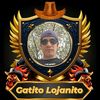 gatito.lojanito