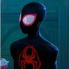 spider_editzx