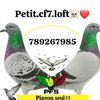fils.de.cf7.loft.1234