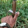 smailould510