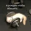 ilona_syka