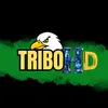 TRIBO_HD