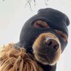 gogog_budug