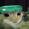 zephyr.not.alien