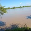ronaldopalencia1