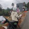 ariff_530