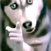 daniel.yt06