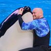 dolphins.show1