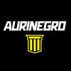 aurinegro.bolivia