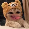 hoangqkim203
