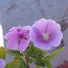 mary.vera787
