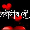 bdruhu