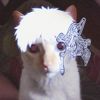 luannephantomhive