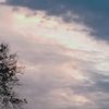 mandaa_226