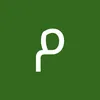 user875307440019