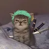 m_hai_claw