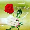 user85910991693413