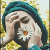 hamsatamal19