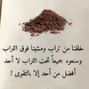 user5301656976310