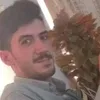 user2777806398261