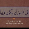 salihnebom8