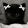 hollys_account4ever