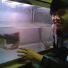 ewank72