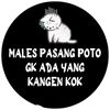 myus334