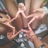 ynfeinbihh