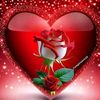 user7411015745994