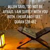 fatihaa2774