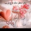 redasabry772