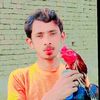 rehman.vehari