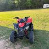that_clean_ds_250