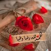 user113476608029