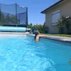 antheasalabaraas