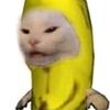 banana5369