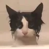 priv.alex1