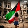 redaahmed06434