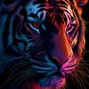 user8601879135775