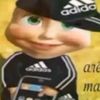 masharapera